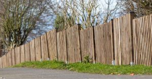 pine vs cedar fencing